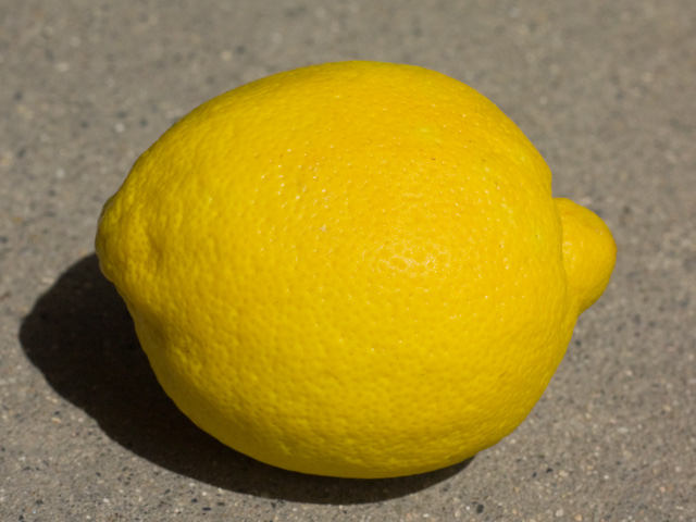 檸檬（レモン）の写真（フリー素材）