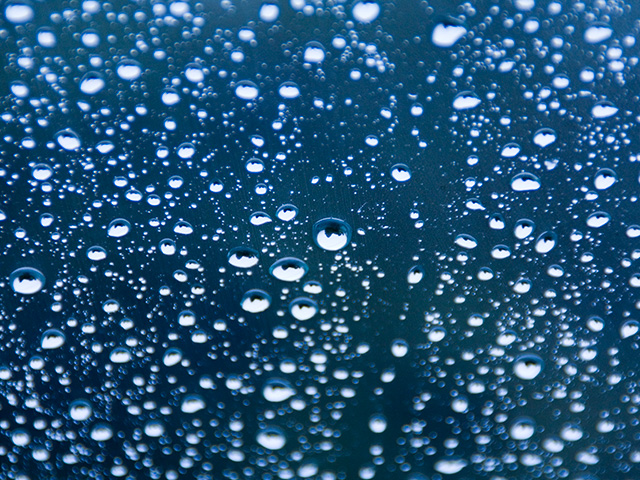 雨の水滴の写真（フリー素材）